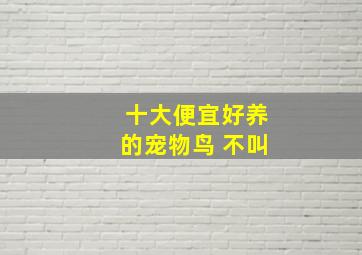 十大便宜好养的宠物鸟 不叫